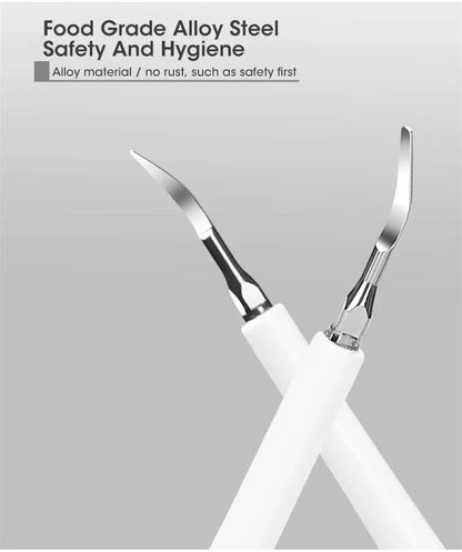 Electric Toothbrush Sonic Dental Teeth Whitening Kit Tooth Whitener Calculus Tartar Remover Tools Cleaner Stain Oral Care